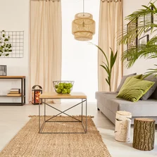 Illustration - Ihr Experte für schönes Wohnen - Wohnung mit Pflanzen und Couch, unter dem Tisch liegt ein Naturfaserteppich.